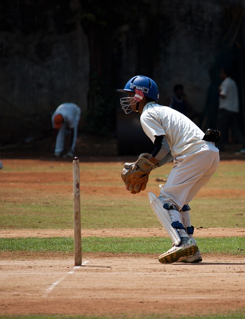 Cricket and Sports Tourism: Economic Benefits and Strategies