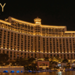 Reddybook Login: Access Your Account for the Latest Slots Bonuses