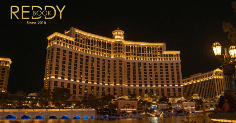 Reddybook Login: Access Your Account for the Latest Slots Bonuses